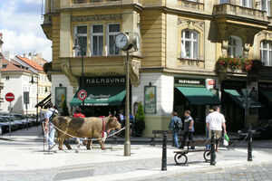 Kolkovna