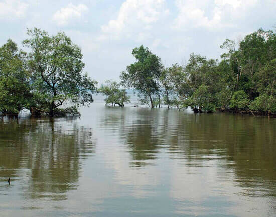 Sungei Buloh Wetland Reserve