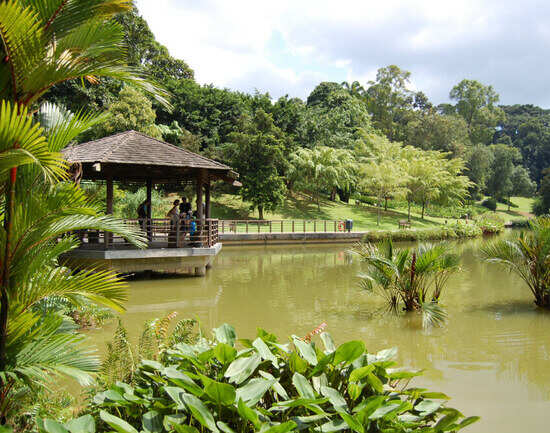 Singapore Botanic Gardens