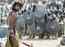 Over 2 lakh props were used in Magadheera