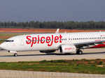 SpiceJet flight hits animal before take-off