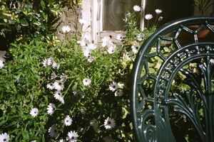 Piano Guest House