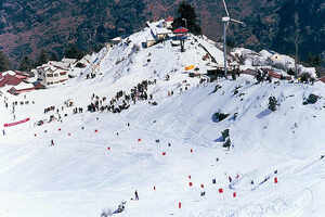Auli