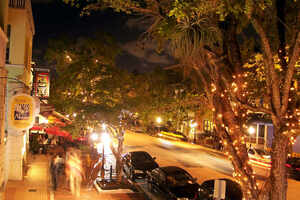 Coconut Grove