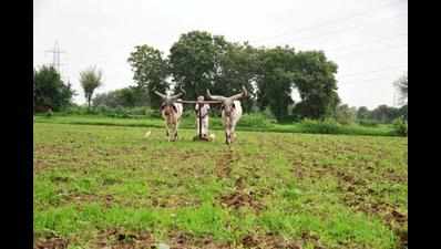 Researchers studying climate change adaptation among Tamil Nadu farmers