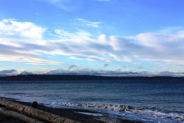 Discovery Park