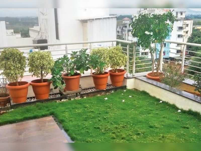 The Rise Of High Gardens Times, Ideas For Terrace Garden India