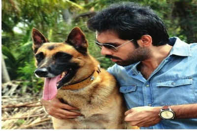 Bengaluru dog makes it big in Kollywood