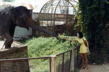 Saigon zoo and Botanical garden