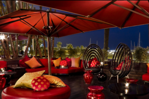 Shoko Lounge Club