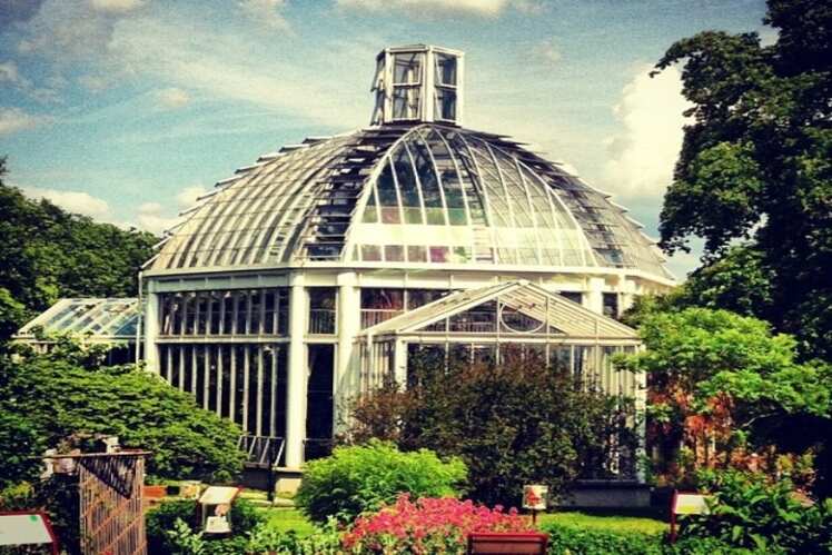 The Botanical Gardens