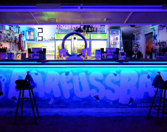Vienna nightlife for the party animal
