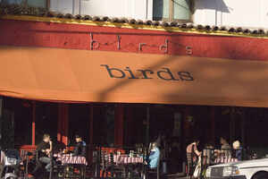 Birds Caf&eacute;