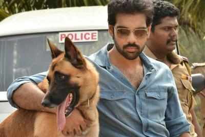 Sun TV buys Naaigal Jaagirathai