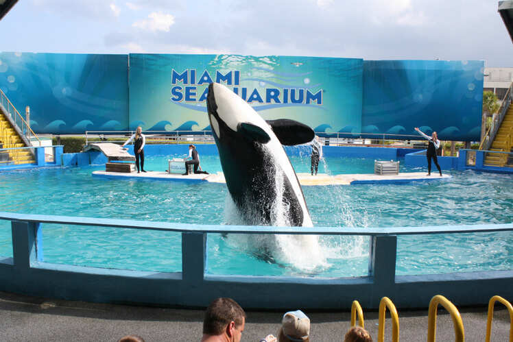 Miami Seaquarium