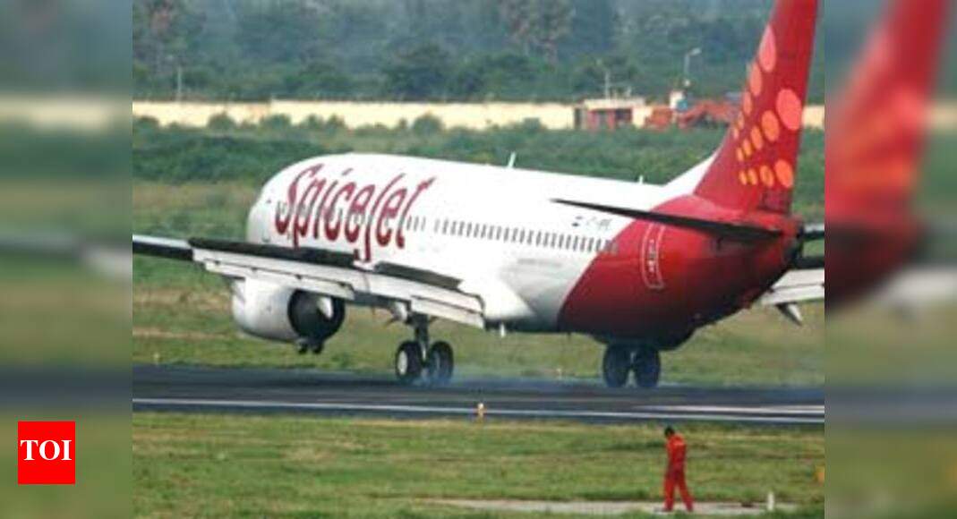 SpiceJet cancels over 1,800 domestic flights Times of India