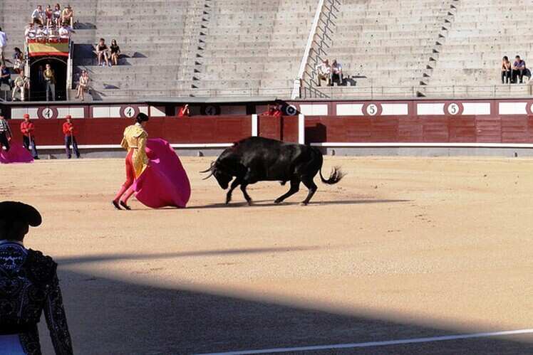 Bullfights at Plaza de Toros Las Ventas