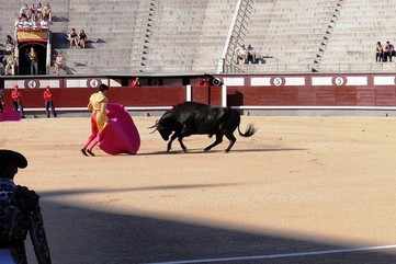 Bullfights at Plaza de Toros Las Ventas