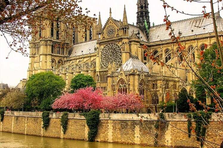 Cath&eacute;drale Notre Dame de Paris