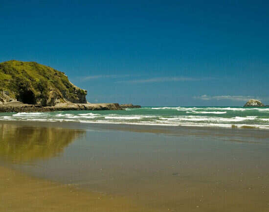 Surfing the North Island