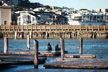 Fisherman’s Wharf