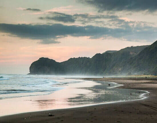 Piha Beach in West Auckland