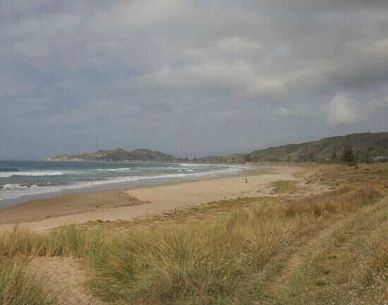 Wainui Beach