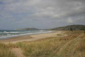 Wainui Beach