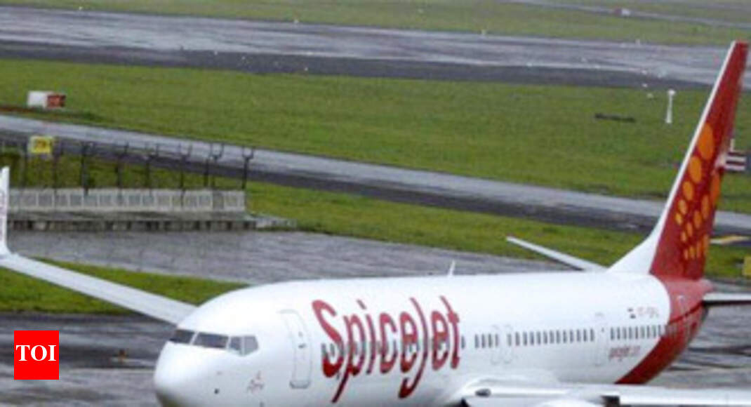 SpiceJet seeks urgent financial help from govt Times of India