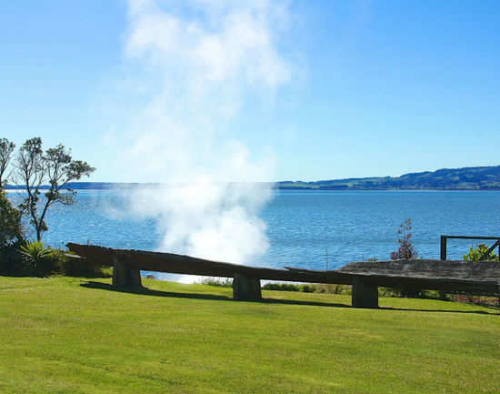 Cultural Of New Zealand Maori Cultural Rotorua Times Of India Travel   45561761 