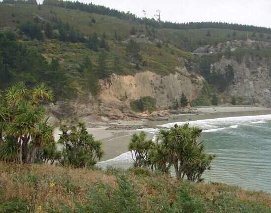 Surf The Pass