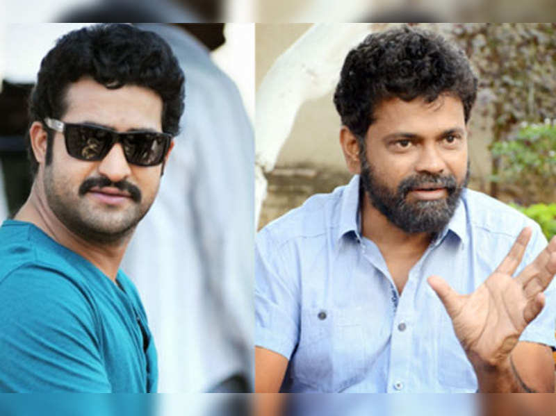 Excited to direct NTR: Sukumar | Telugu Movie News - Times of India