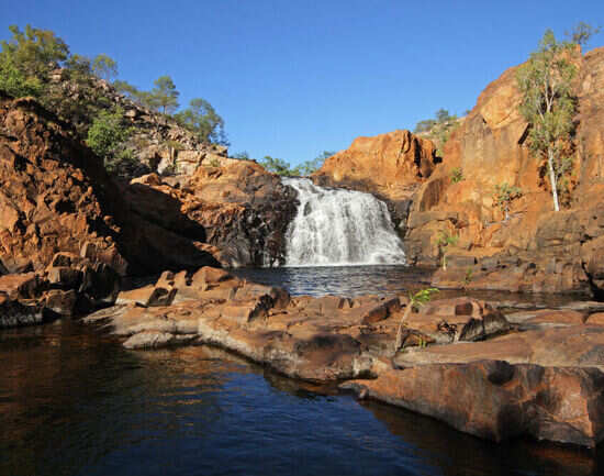 Kakadu