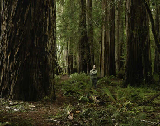 Sequoia National Park