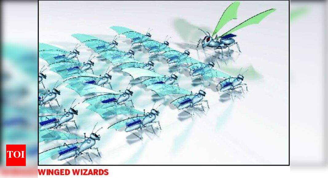 Roboflies to help soldiers keep tabs on foes - Times of India