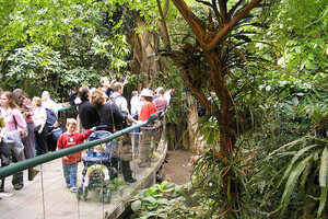 The Biodome