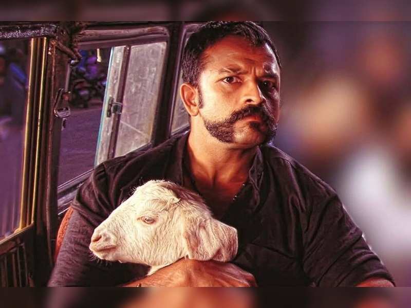 Mollywood in love with animals! | Malayalam Movie News - Times of India