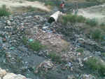 fine for throwing waste in Yamuna