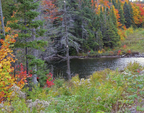 Haliburton Highlands
