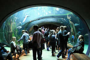 San Francisco&rsquo;s best entertainment venues