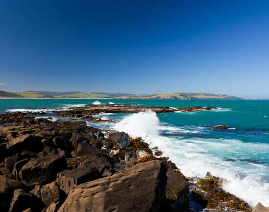 Curio Bay