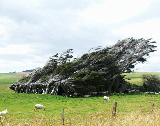 Invercargill