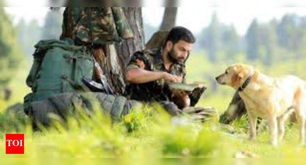 Picket 43 Malayalam Movie News Times of India