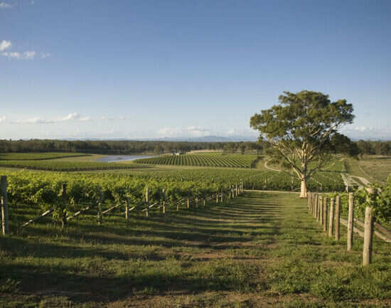 Hunter Valley