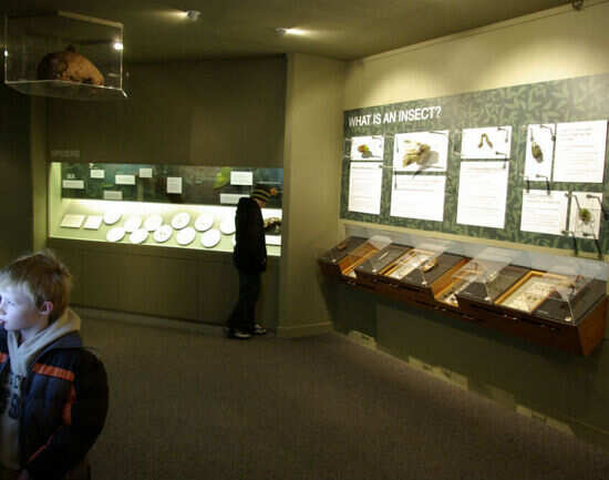 Otago Museum