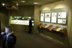 Otago Museum