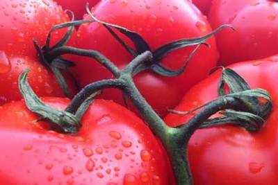The goodness of tomatoes