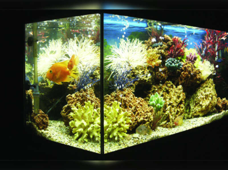 marine aquarium 3 add ons