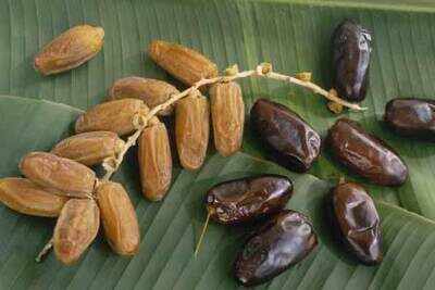 Health benefits of dates - Times of India
