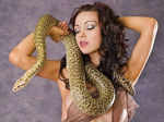 Hotties with snakes